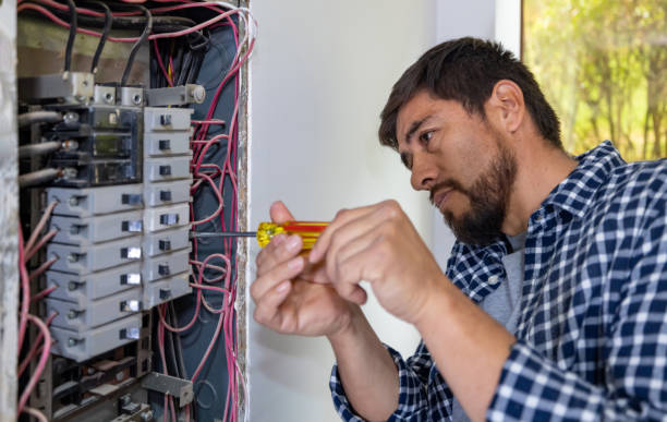 Best Local Electrician Companies  in Edwardsvle, IL